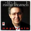 zülfü livaneli - bu benimki sevda değil